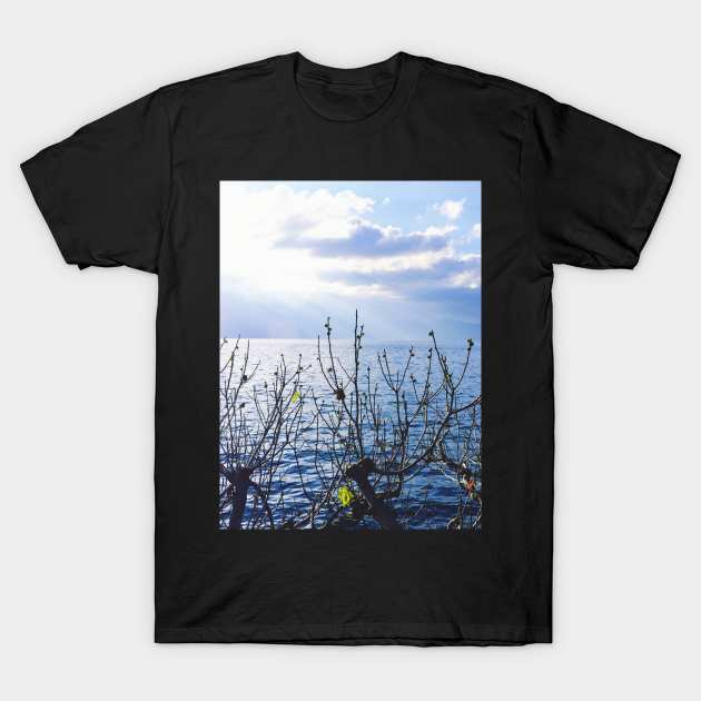 Through the Branches T-Shirt by TheRealFG